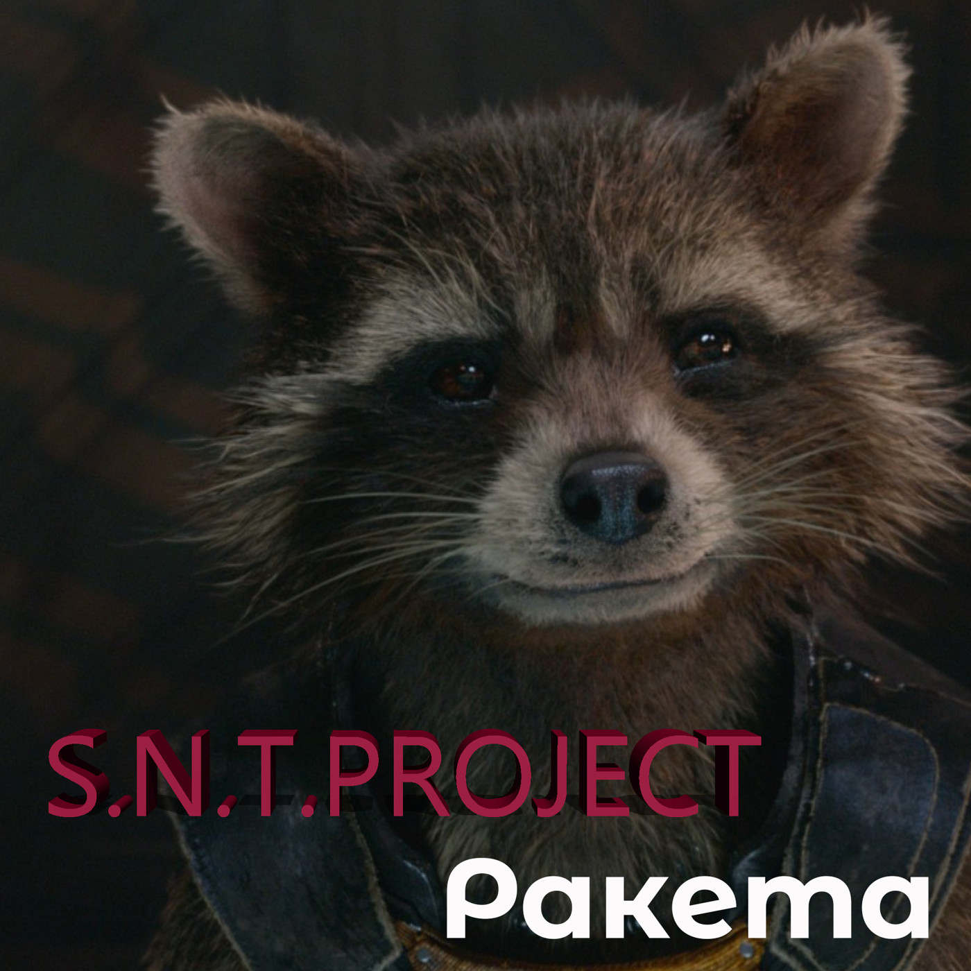S.N.T.Project - Ракета episode artwork