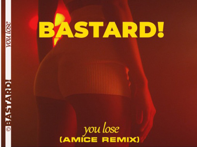 Bastard You Lose Amice Remix Dj Amice