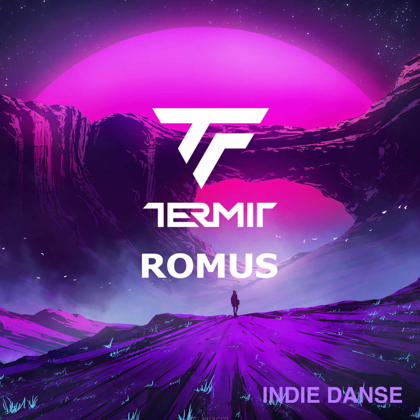 Dj Termit - Romus (Indie danse mix)