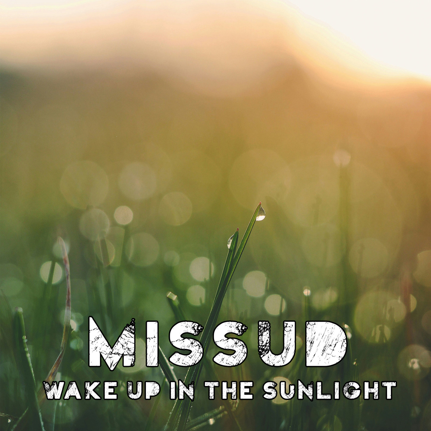 Missud - Wake Up In The Sunlight