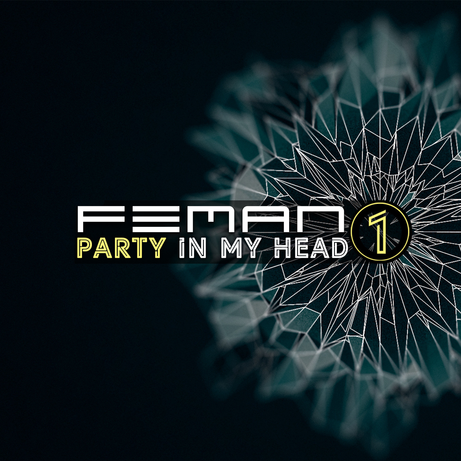FEMAN