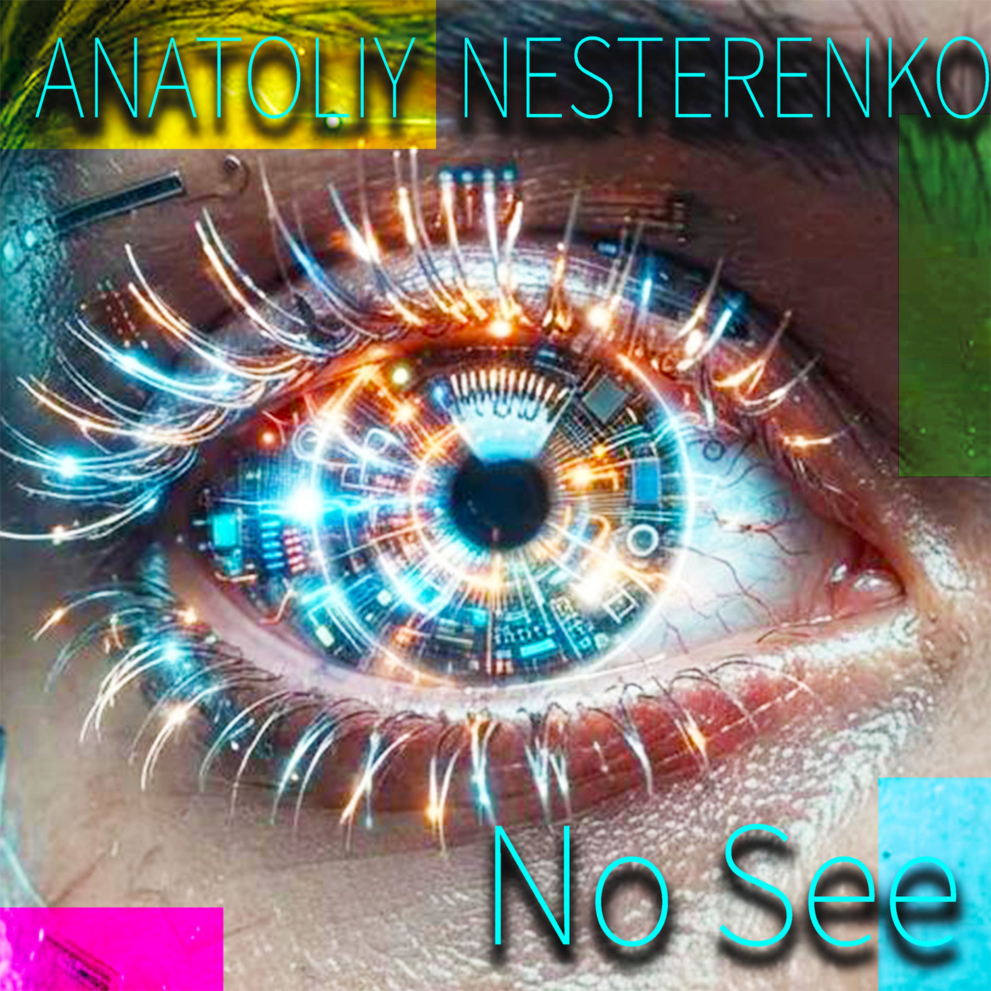 Anatoliy Nesterenko-No See