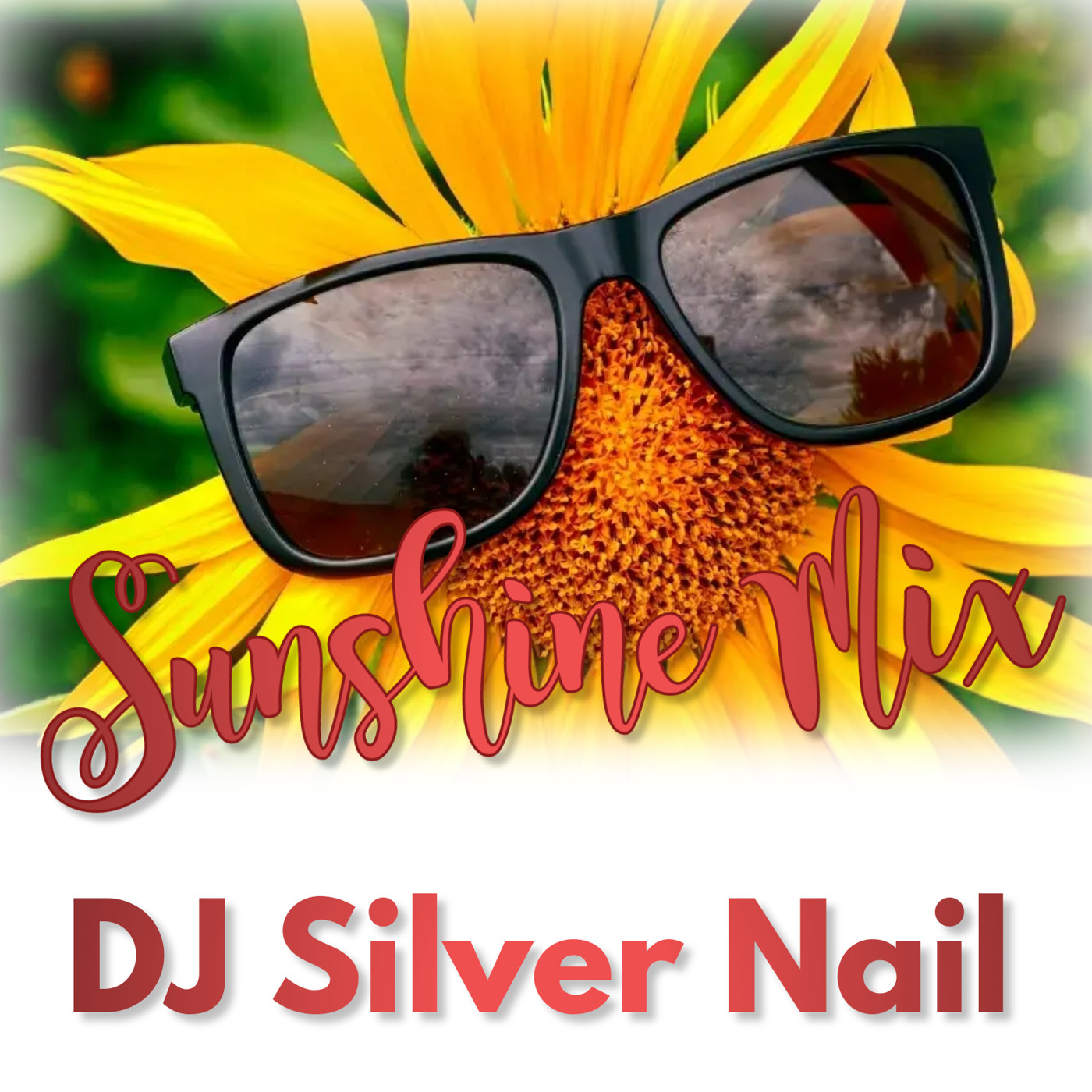 Dj Silver Nail