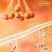 DJ Iridium - Music of the Spheres: Last Sphere (Mix) (18-05-12) episode artwork