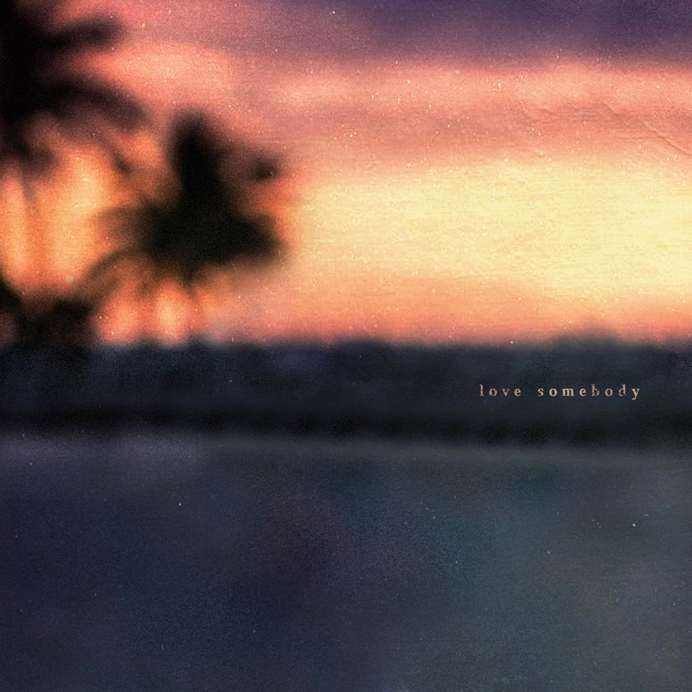 Morgan Wallen - Love Somebody (Vostokov remix) episode artwork