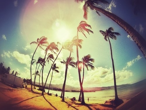 Nik Wave - Warm Feeling