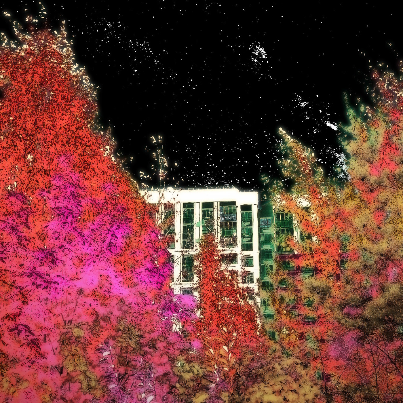 ƨеρҕȧƿƝŬ ƨеρҕȧƿƝŬ