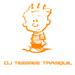 PromoDJ profile picture for @tee