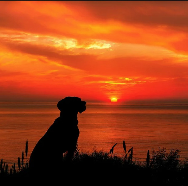 AMJGB - Dream Piano(Chill Out Theme) 2009