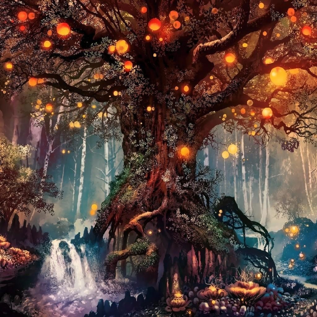Organic by Olejo