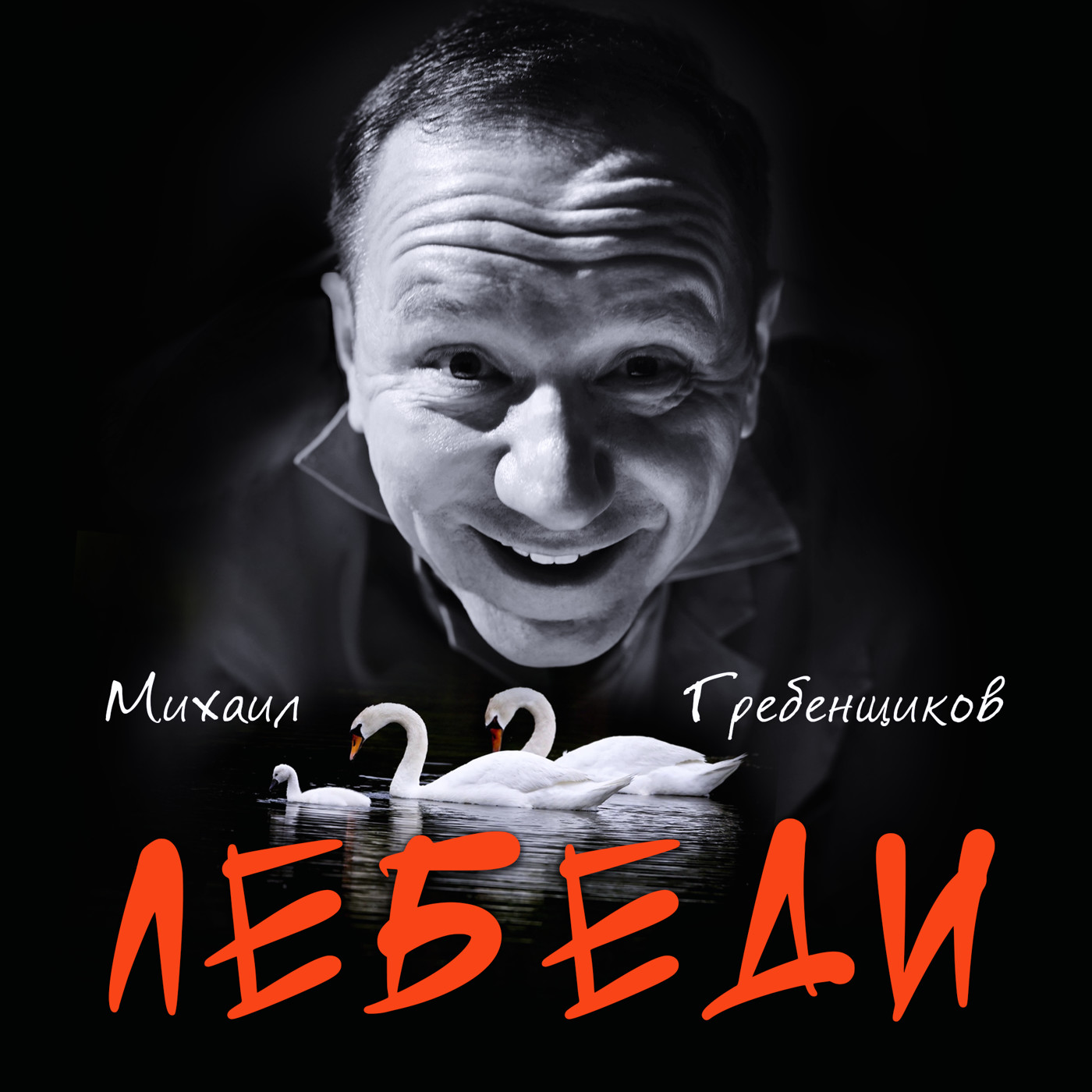 Михаил Гребенщиков - Лебеди episode artwork