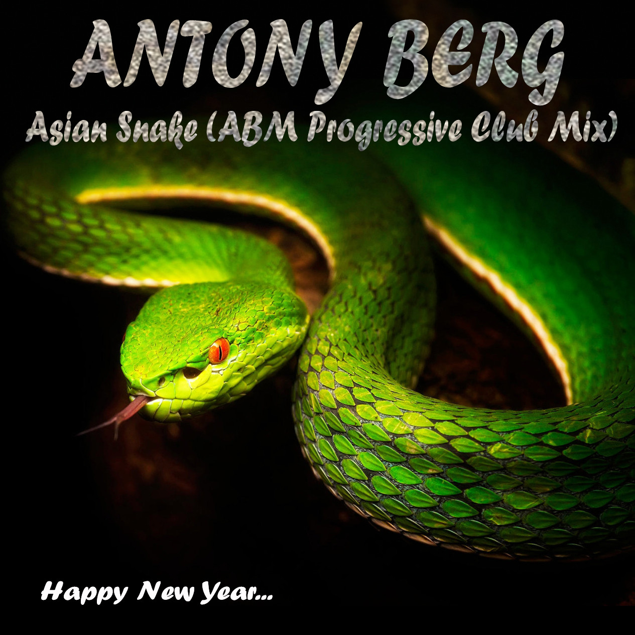 Antony Berg - Asian Snake (ABM Progressive Club Mix)