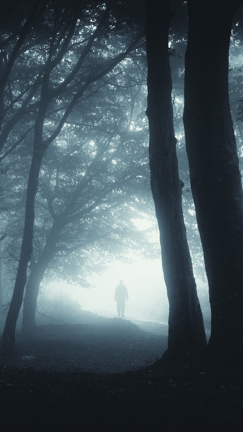 Psywanderer