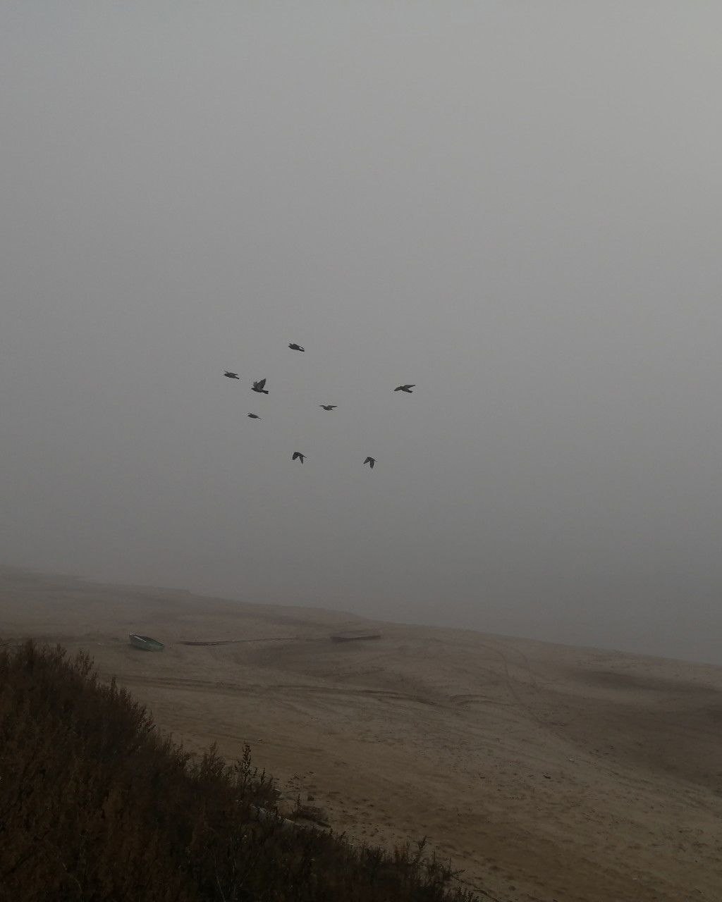 O.S.A.∅ - Structural analysis