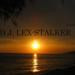LEX-STALKER - DARK WATER