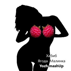 Хабиб vs Sdob & Anton Rudd vs Divius - Ягода Малинка (Yozh mashUp)