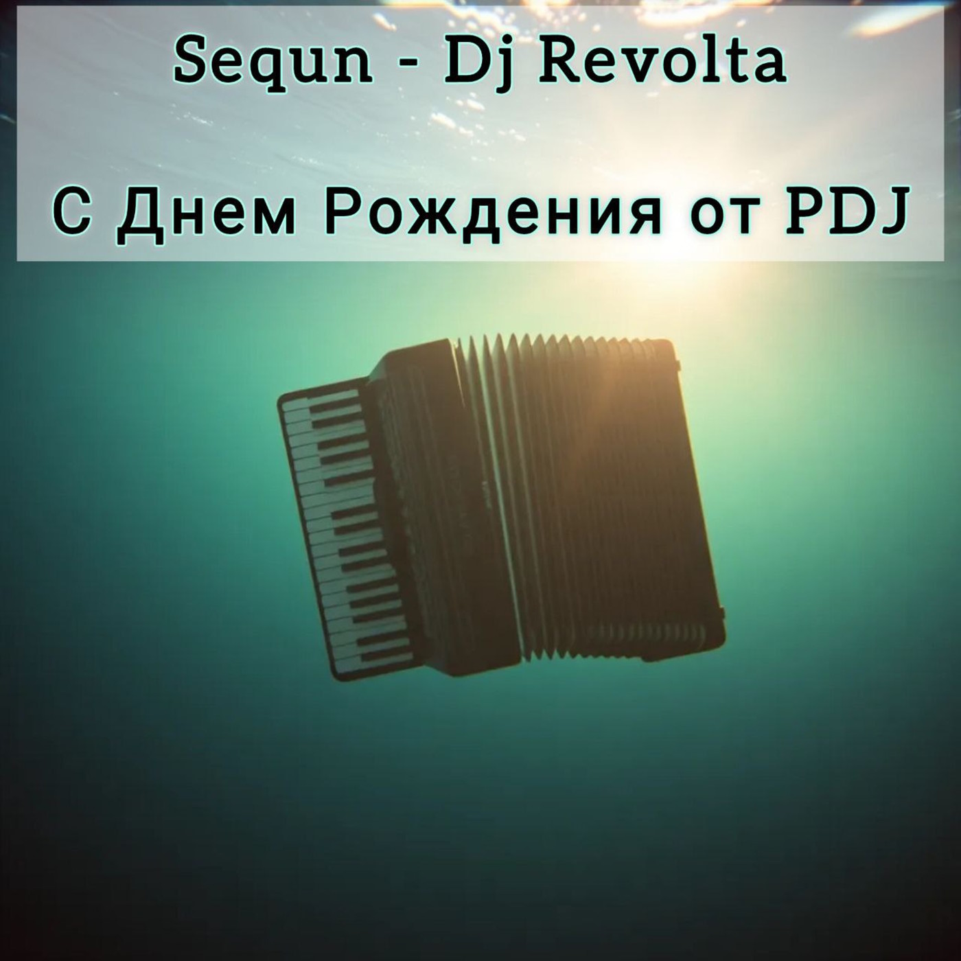 Sequn - Dj Revolta С Днем Рождения от PDJ
