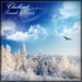 Tyraelforce - Chillout Sounds & Voices vol.4 episode artwork