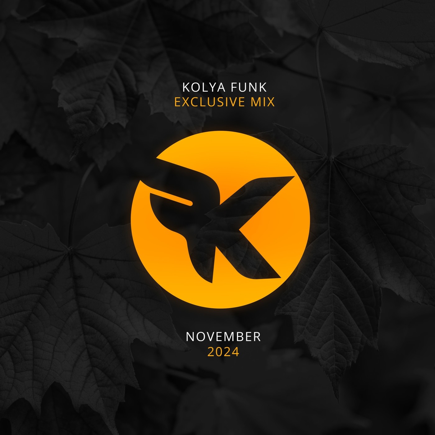 Kolya Funk - Exclusive Mix (November 2024)