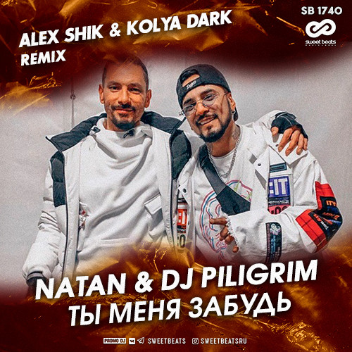 Natan, DJ Piligrim - Ты меня забудь (Alex Shik & Kolya Dark Remix)
