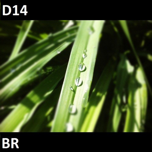 D14 - set - BR episode artwork