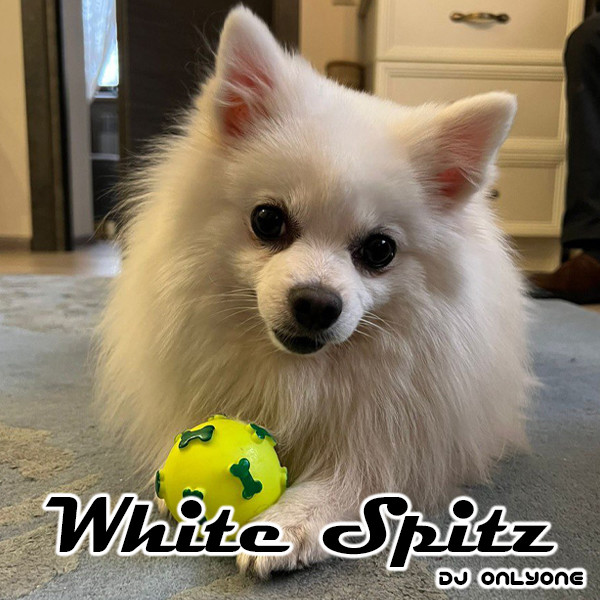 DJ OnLyOnE - White Spitz