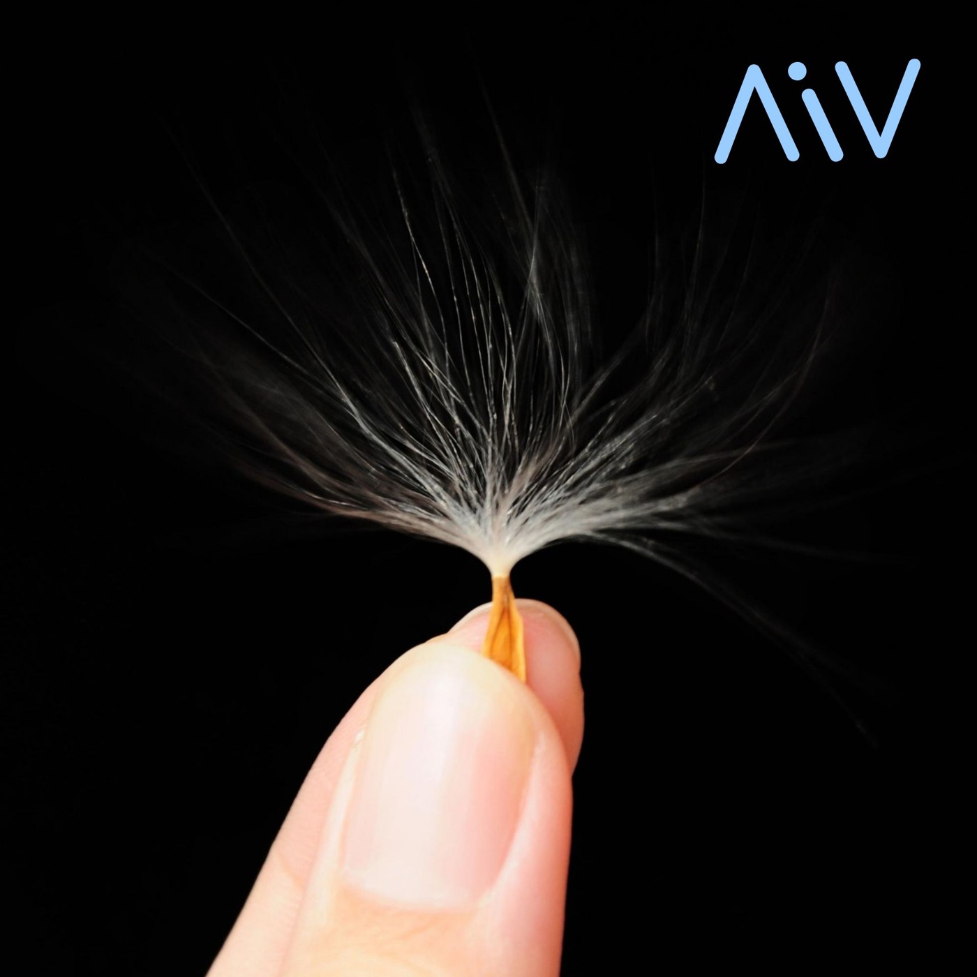 ЛiV - Это похоже... ЛiV - Это похоже...