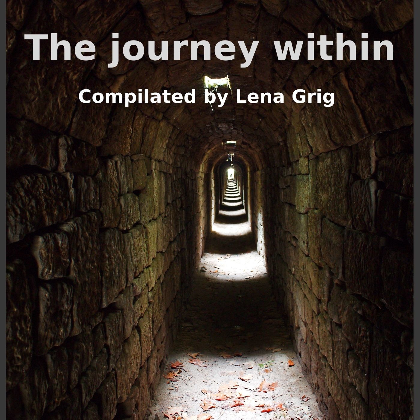 The journey within (compiled by Lena Grig) episode artwork
