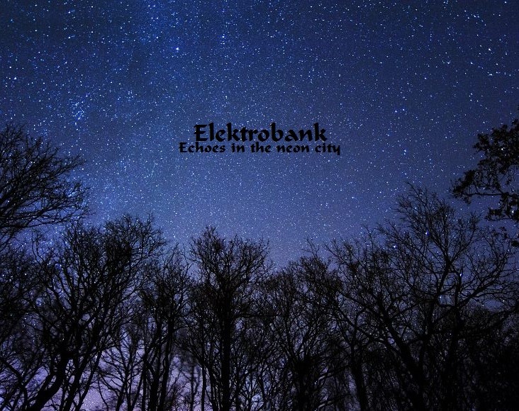 Elektrobank - Echoes in the neon city