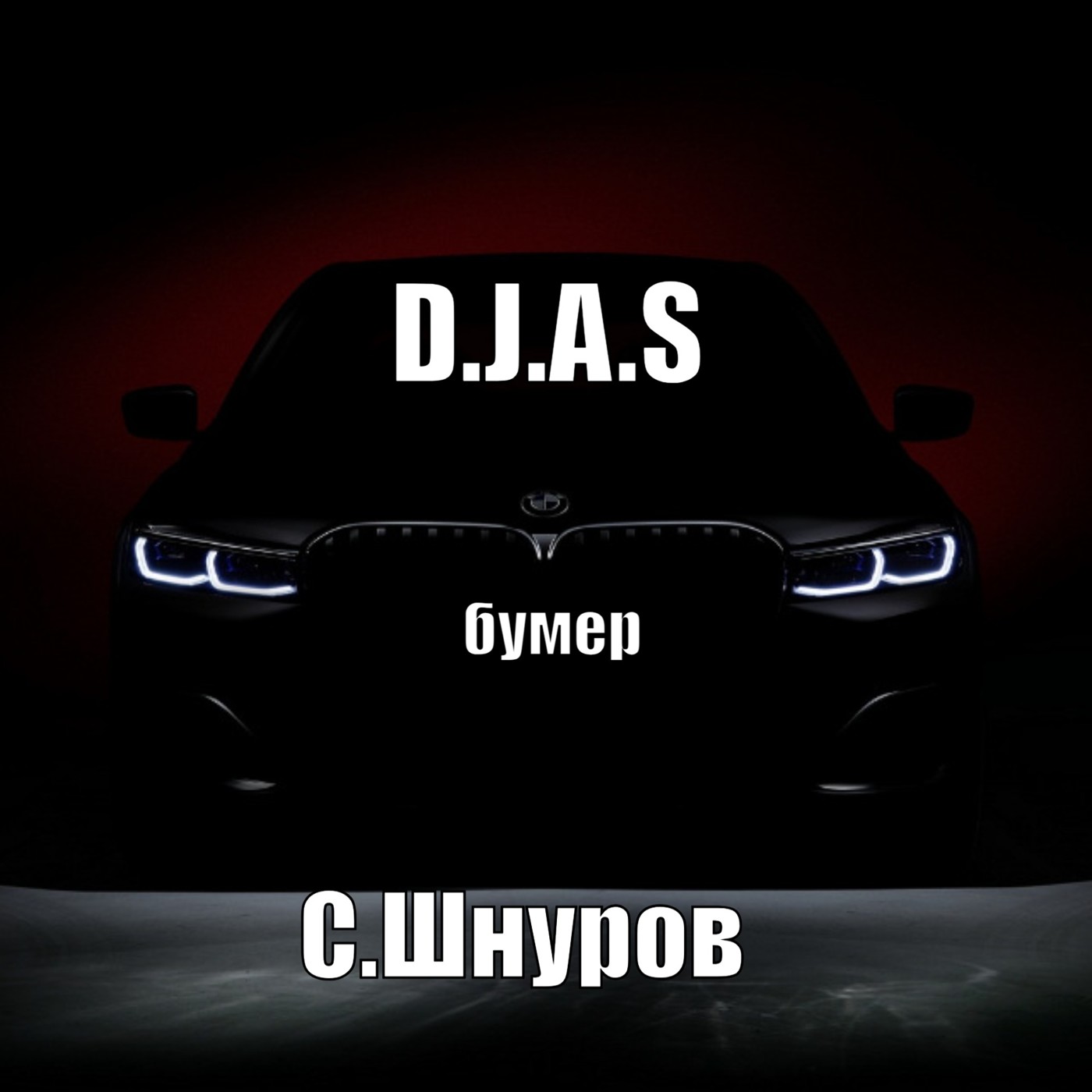 D.J.A.S & Сергей.Шнуров- бумер 2025