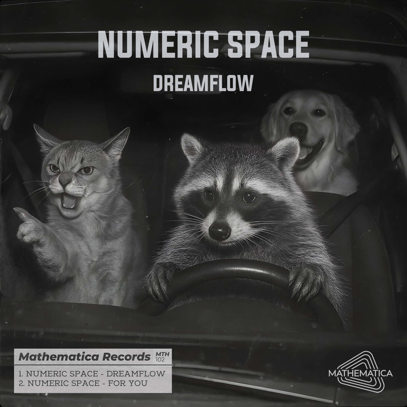 Numeric Space - Dreamflow Numeric Space - Dreamflow