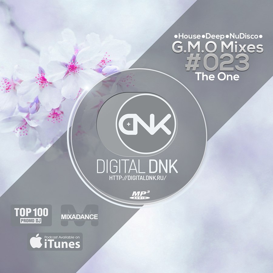 digital DNK