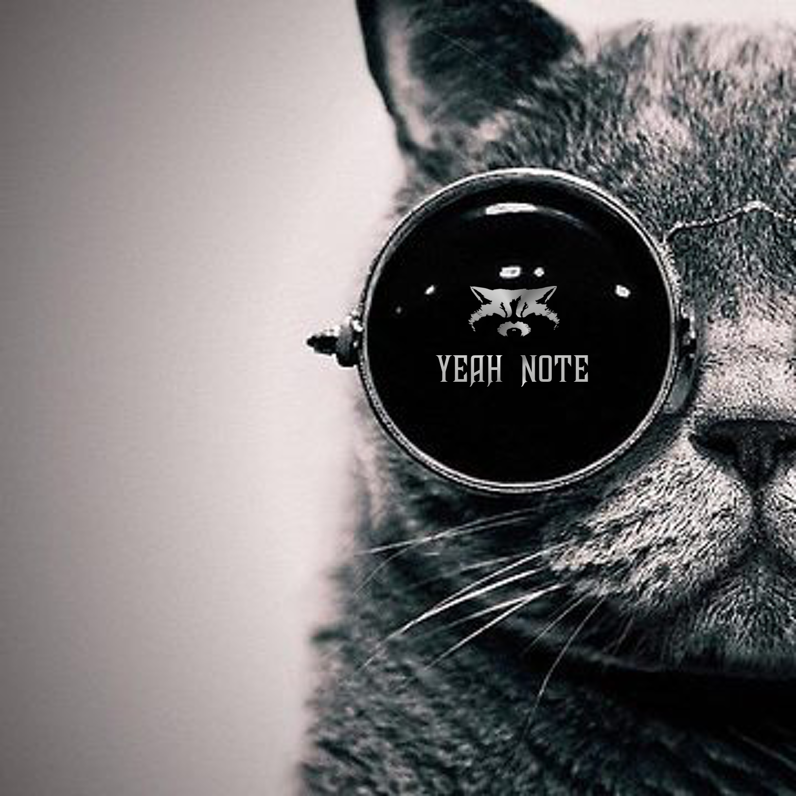Аватарка кота