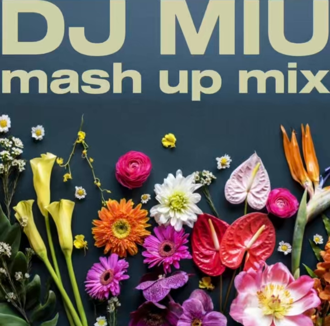 DJ Miu Podcast