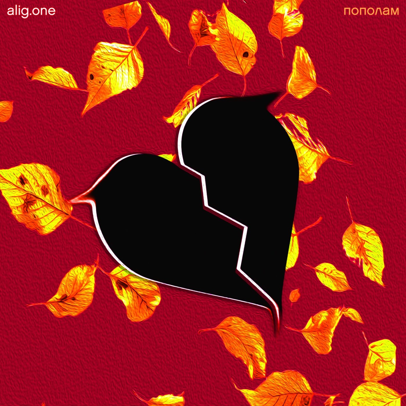 alig.one - Пополам
