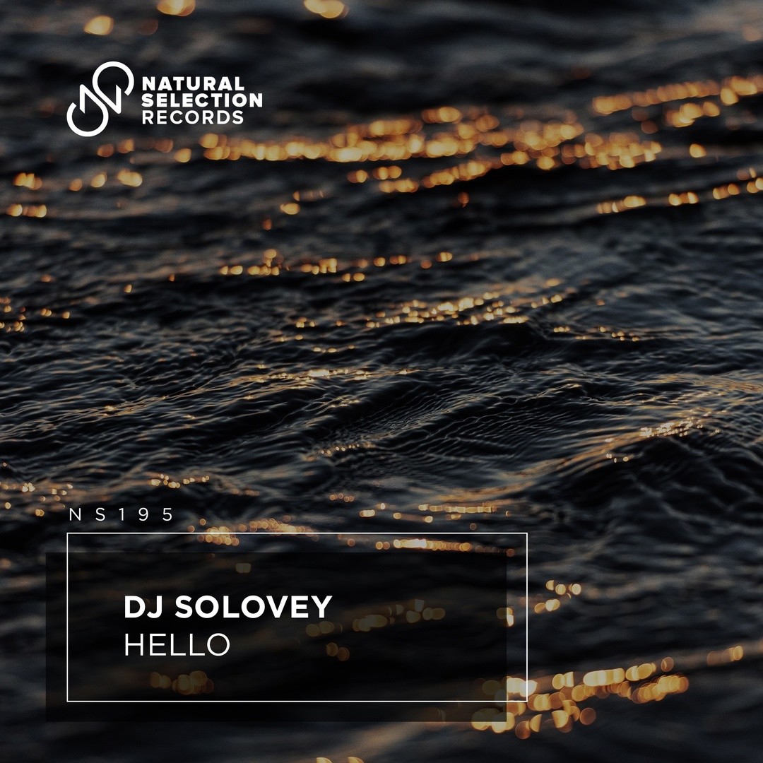 DJ Solovey