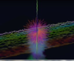 Igry Polnolunija 500