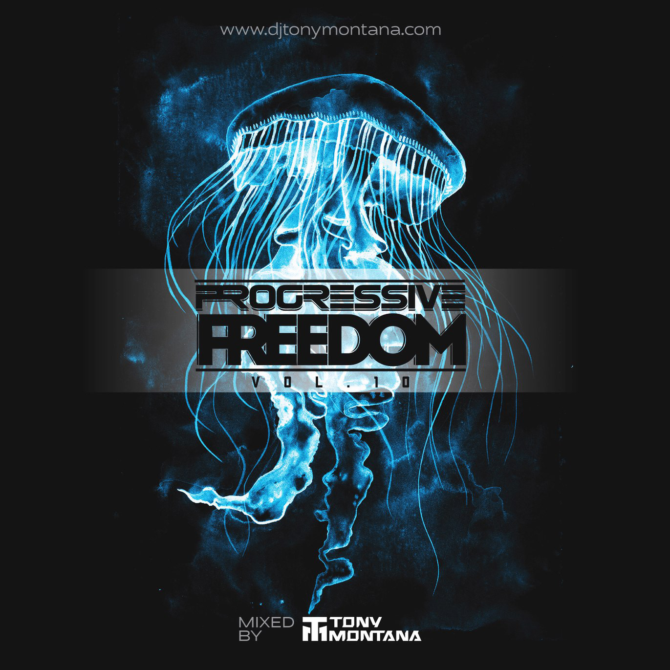 Dj Tony Montana - Progressive Freedom vol.10 Years in Psy-Prog Trance episode artwork