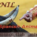 Dj Nil - Spanish Animals  2010 (Flamenco club mix ) episode artwork