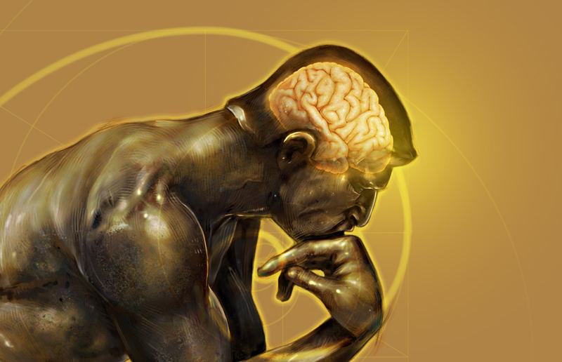 The Meals & Dreaman - Cognition (Epilogue) episode artwork