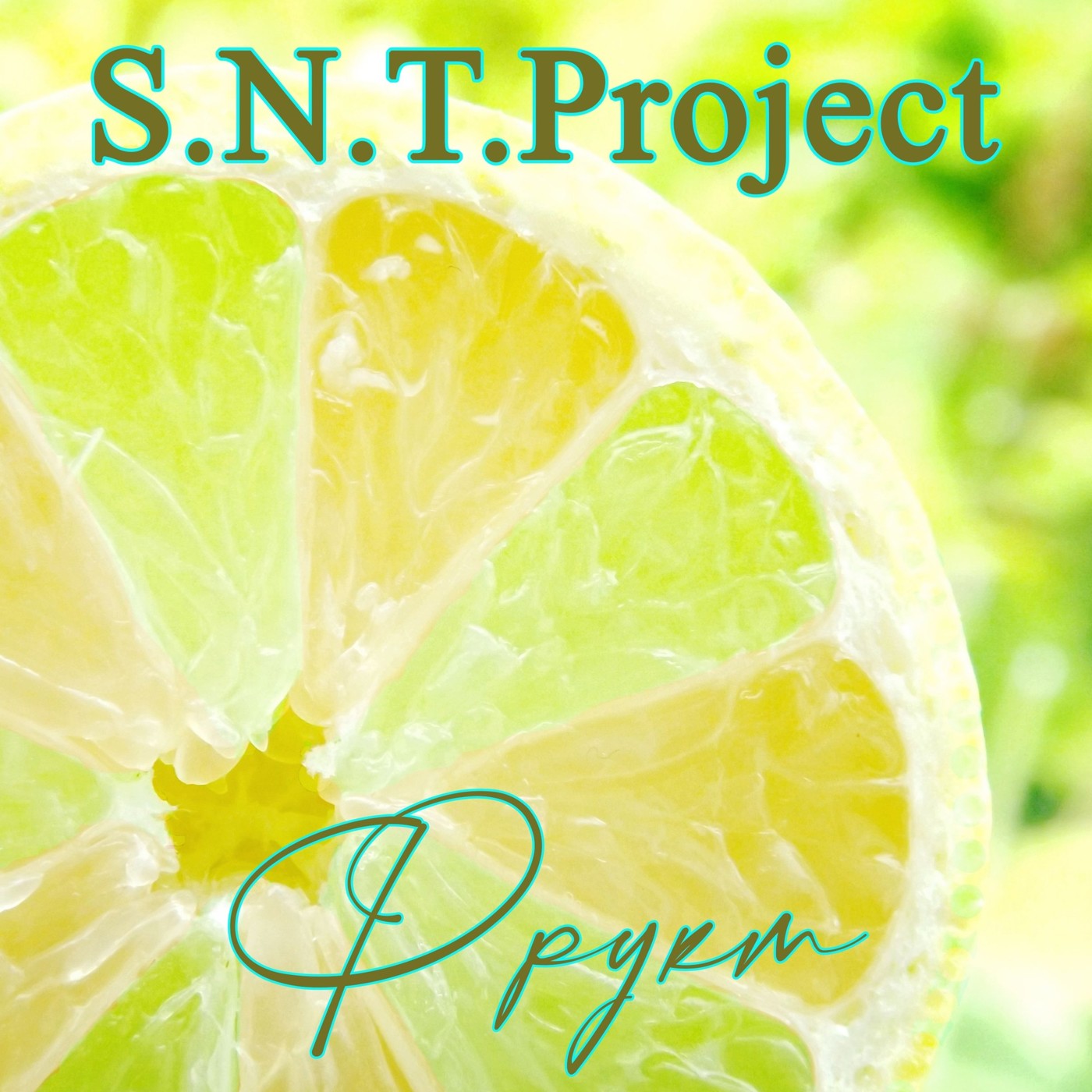 S.N.T.Project - Фрукт episode artwork