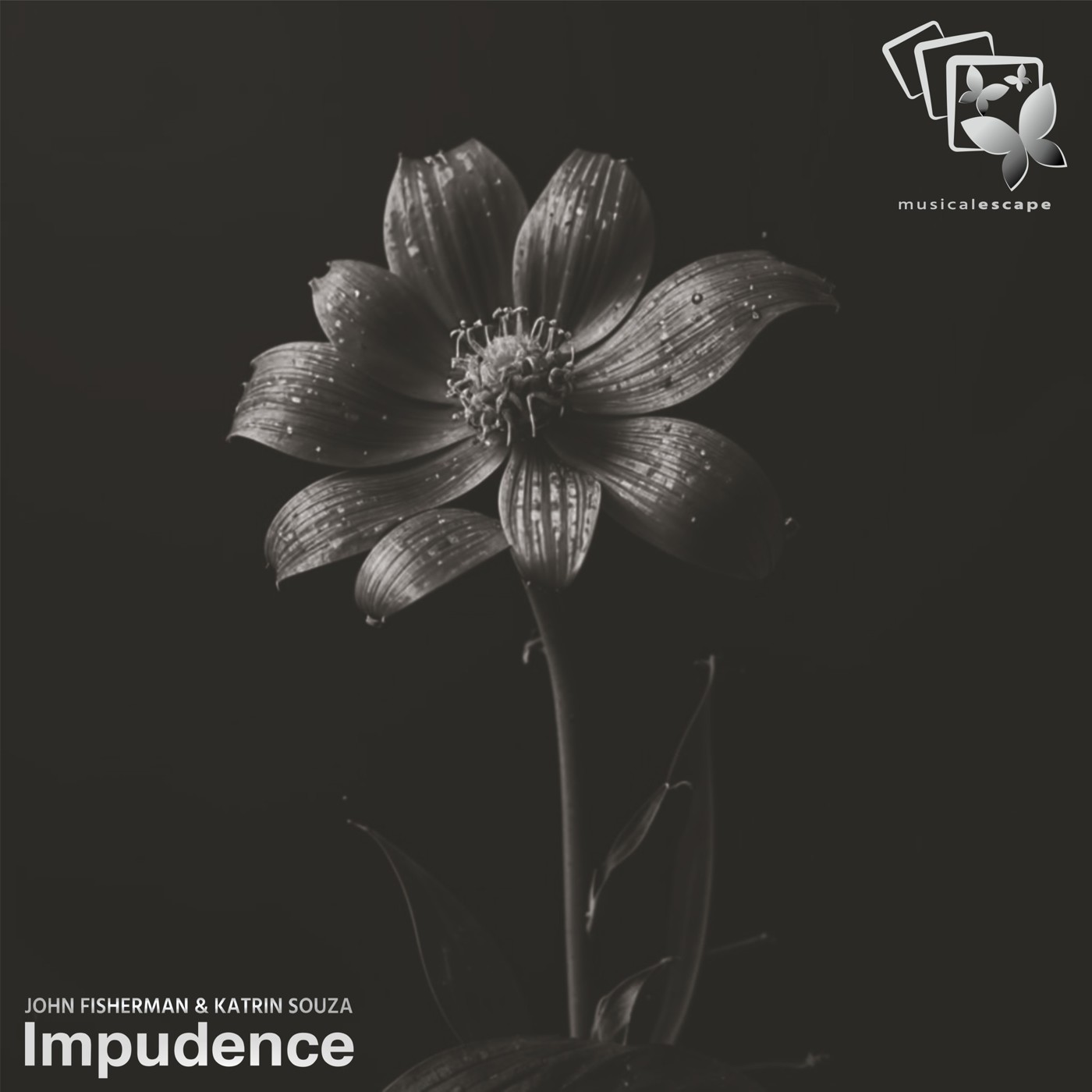 John Fisherman & Katrin Souza - Impudence (Original mix)