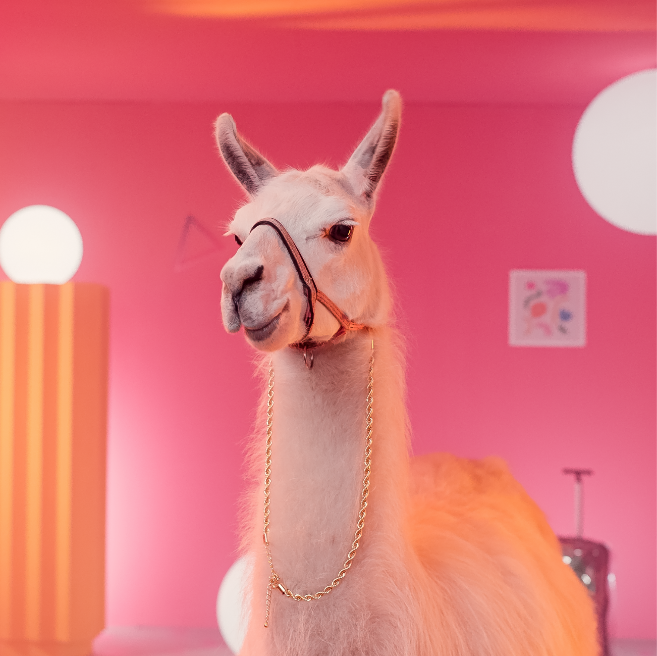 А ей по приколу. А ей по приколу. Вдул демотиваторы. Да потому что я сильнее коля. А ей по приколу.