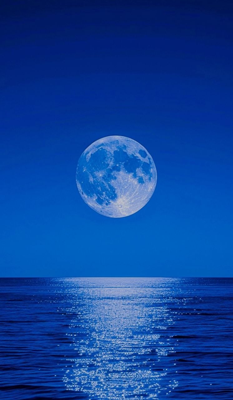 Roman Vorobyov 55 REC 30.10.2025 Roman Vorobyov 55 REC 30.10.2025