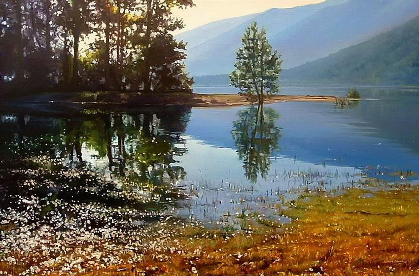 Sonic Scope - Wildlife