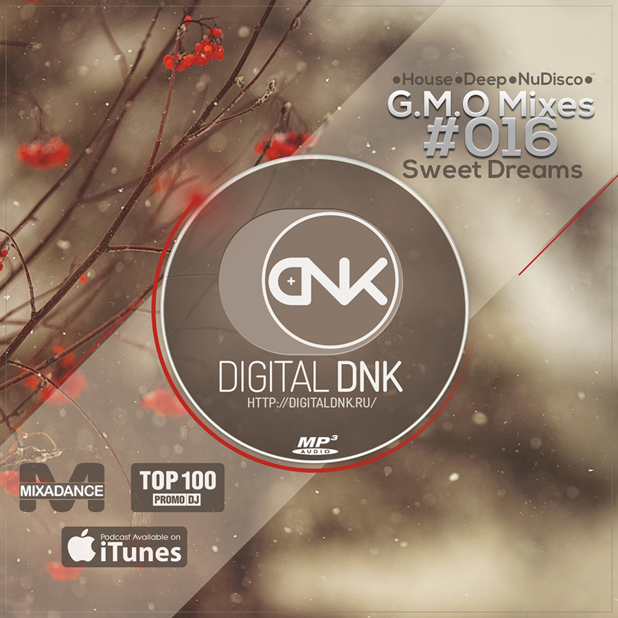 digital DNK