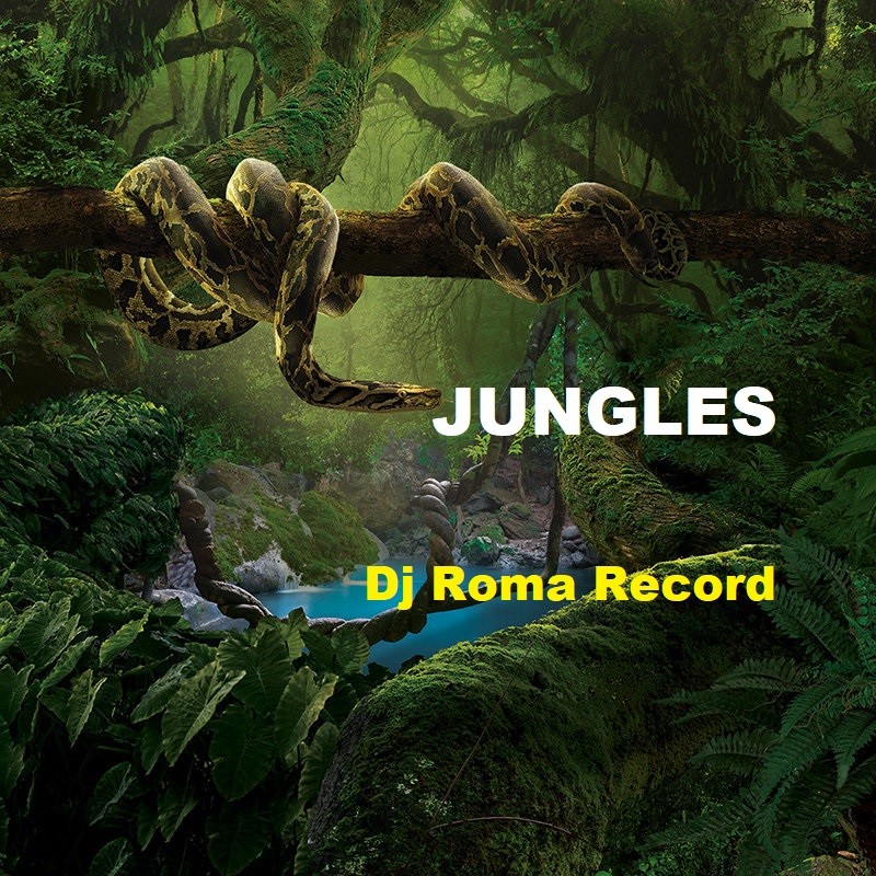 Dj Roma Record - Jungles 10 (final) episode artwork