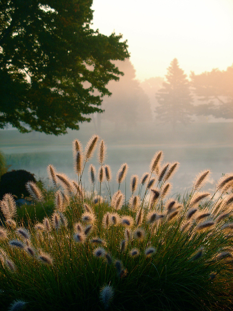 The Awakening of Nature