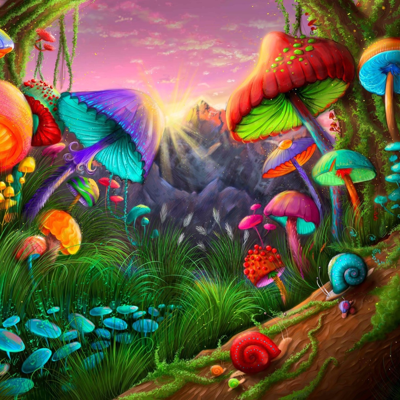 Organic by Olejo