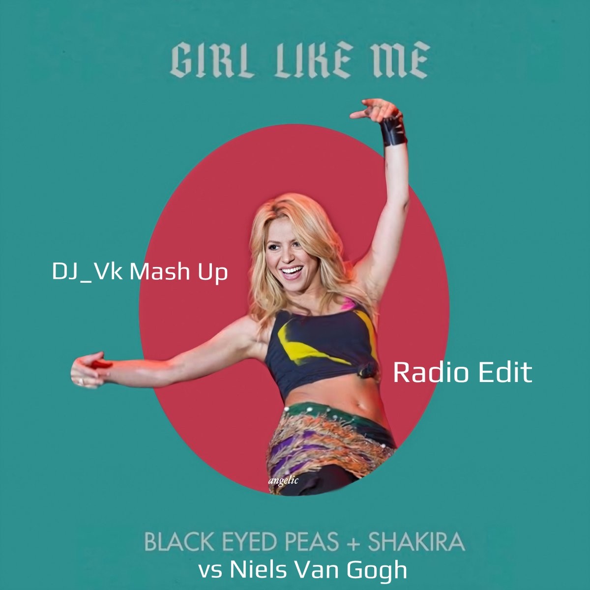Black Eyed Peas & Shakira vs Niels Van Gogh Girl Like Me (DJ Vk Mash